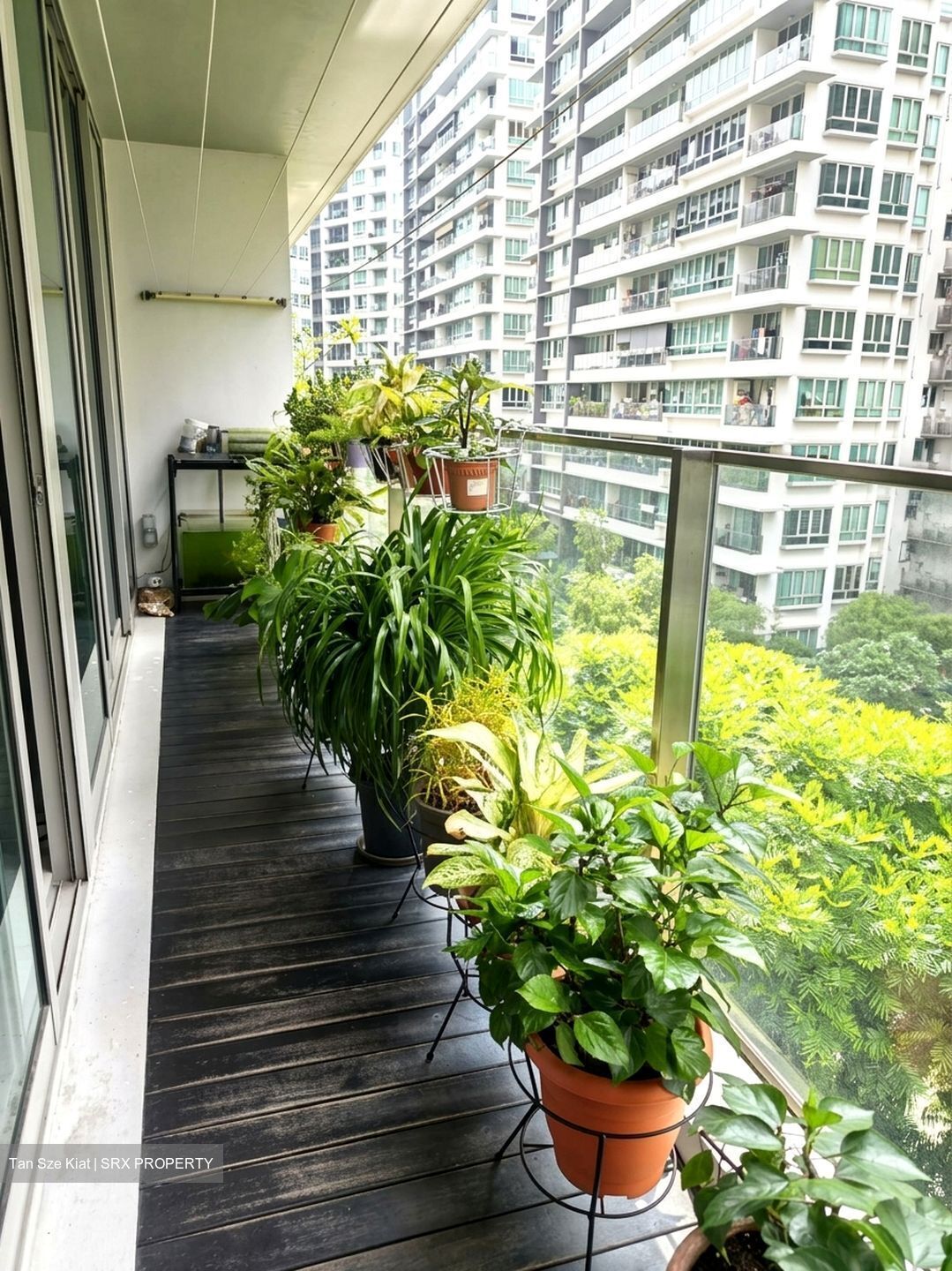 Livia (D18), Condominium #631717371